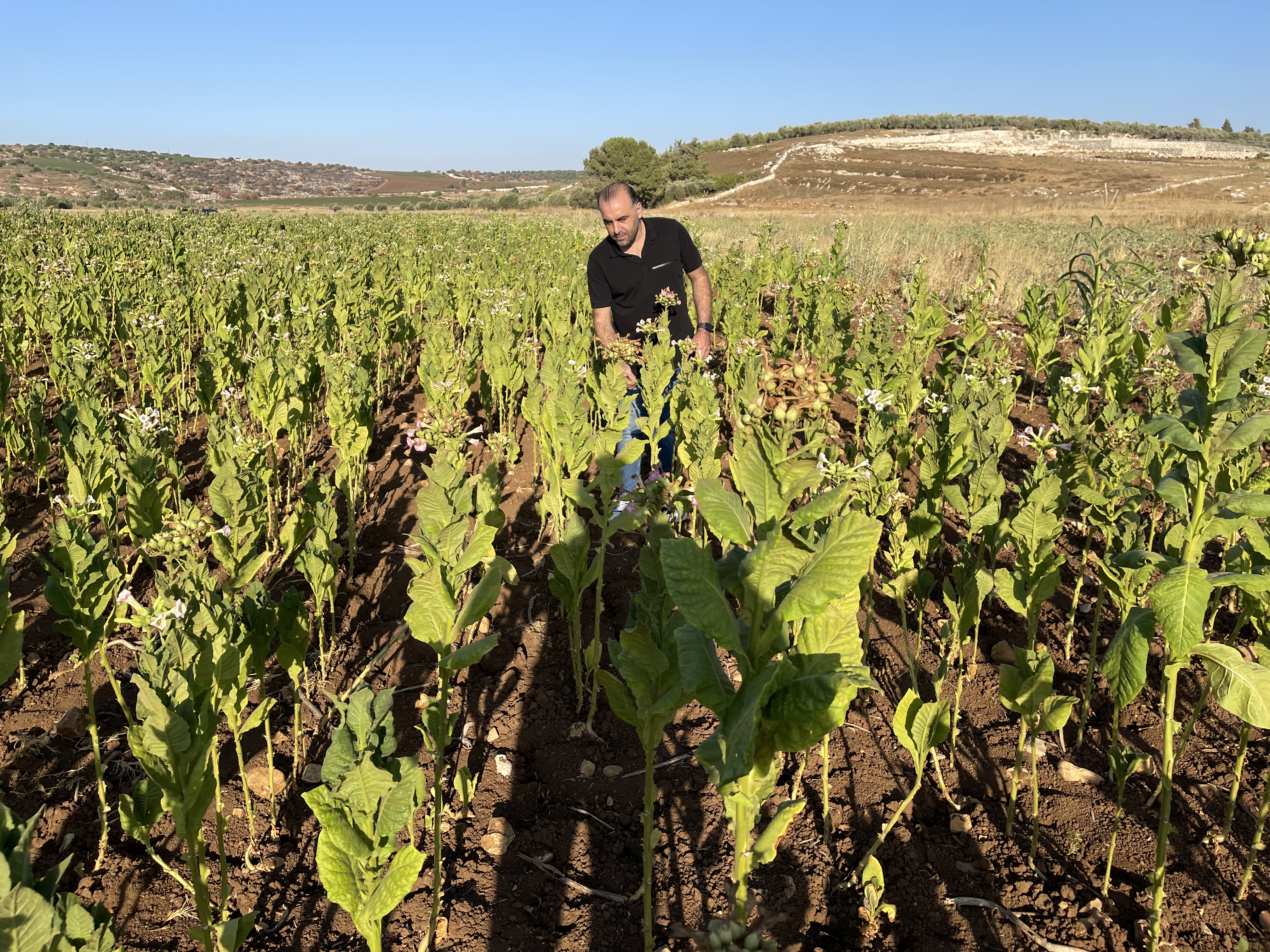 Tobacco International Announces Plan to Transition Away from Tobacco by 2030 and Launches KRATOS Performance Platform